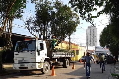 Mutirão na região Sul resultou na poda de 67 árvores, limpeza e corte de mato em mais de sete quilômetros