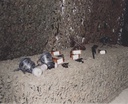 foto 003
